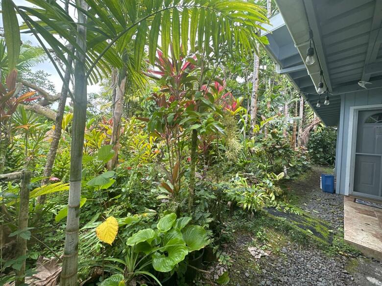 Bed & Breakfast Hawaiian Ohana Home
