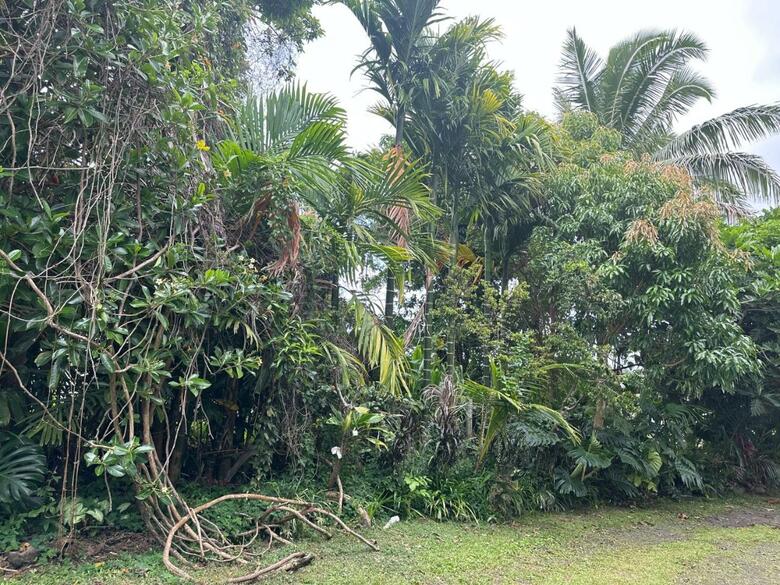 Bed & Breakfast Hawaiian Ohana Home