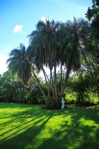 Palm Lakefront Resort And Hostel
