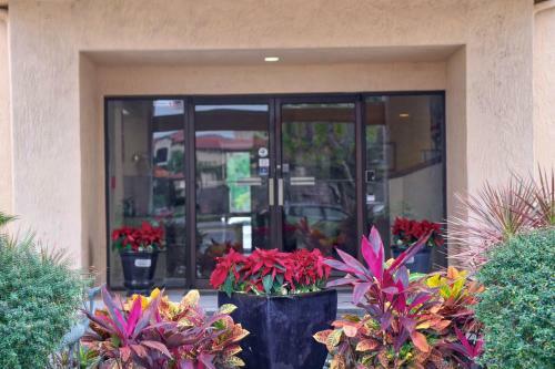 Destiny Palms Hotel Maingate West