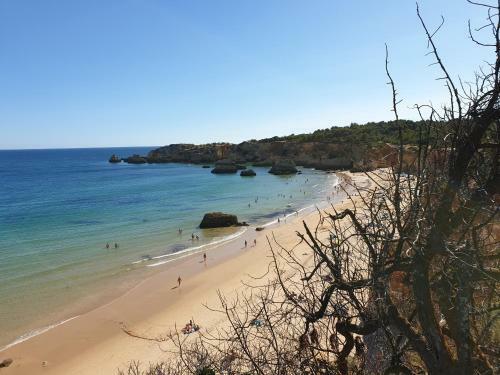 Apartamento Litoral Mar
