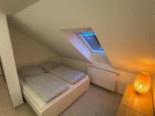 Apartamento Bs Living Ap Am Zoo