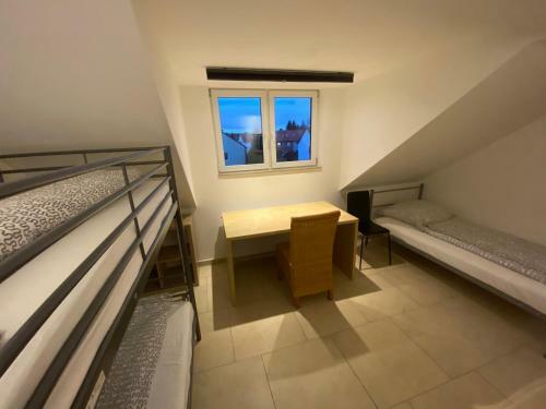 Apartamento Bs Living Ap Am Zoo
