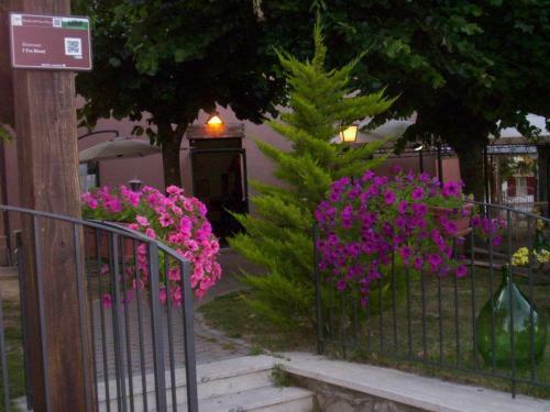Bed & Breakfast I Tre Rioni