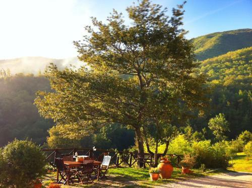 Agroturismo Bio Agriturismo Il Vigno