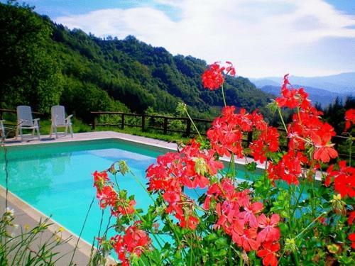 Agroturismo Bio Agriturismo Il Vigno