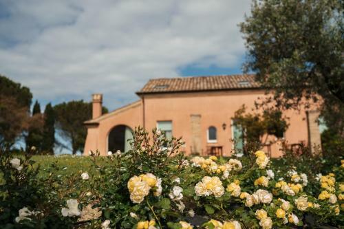 Bed & Breakfast Nontiscordardim�