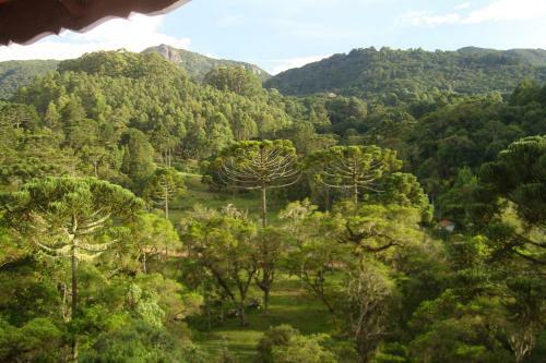 Hotel Pi�o Mineiro
