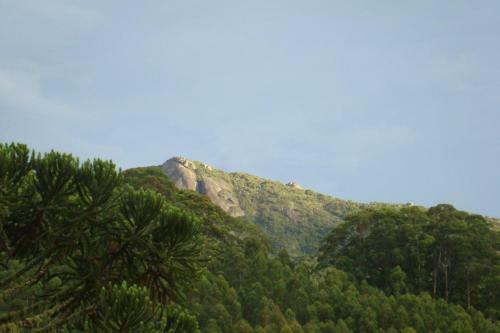Hotel Pi�o Mineiro