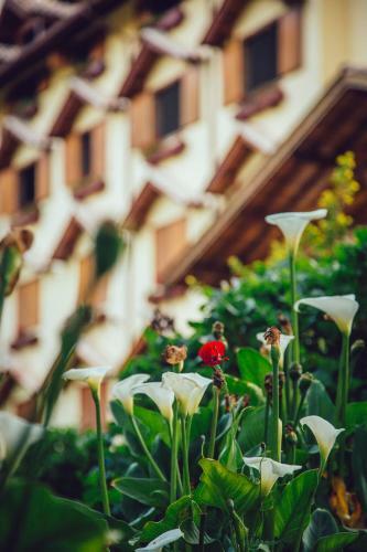 Hotel Guanxi