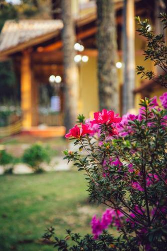 Hotel Guanxi