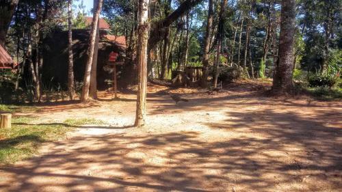 Hostal Ecos Da Terra Chal�s