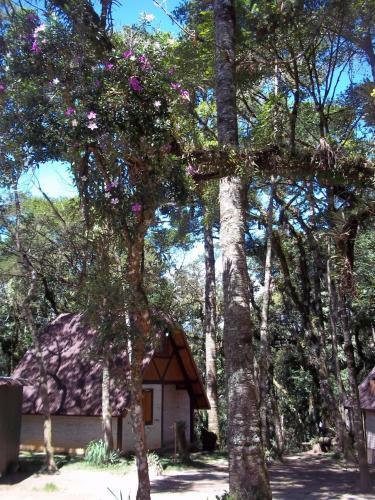 Hostal Ecos Da Terra Chal�s