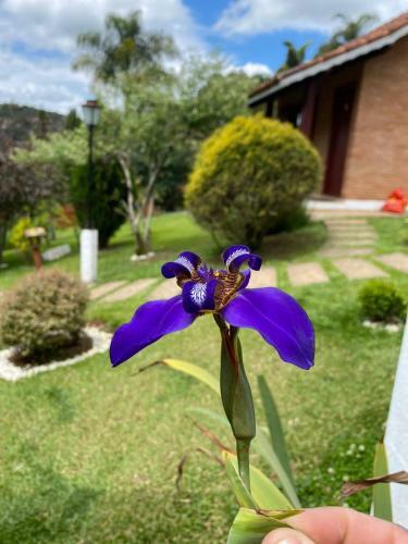 Lodge Chales Encantus