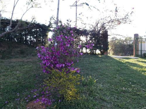 Hostal Pousada Canto Dos P�ssaros