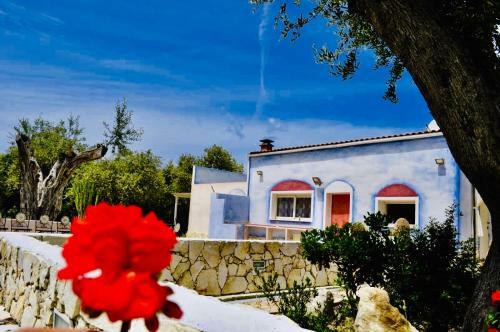 Hostal Country House Villa Di L'abbiu