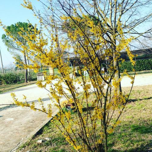 Agroturismo Le Ghiande