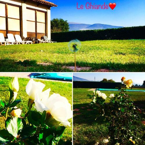 Agroturismo Le Ghiande