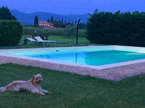 Agroturismo Le Ghiande