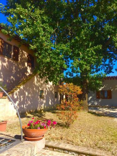Agroturismo Le Ghiande