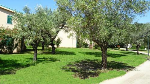 Affittimoderni S. Andrea Apartments