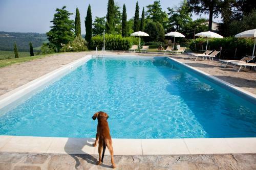 Agroturismo Il Rosolaccio