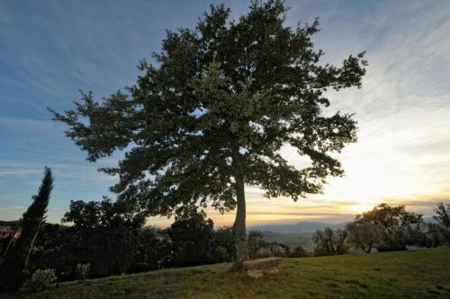 San Casciano Dei Bagni Villa Sleeps 8 Pool Wifi