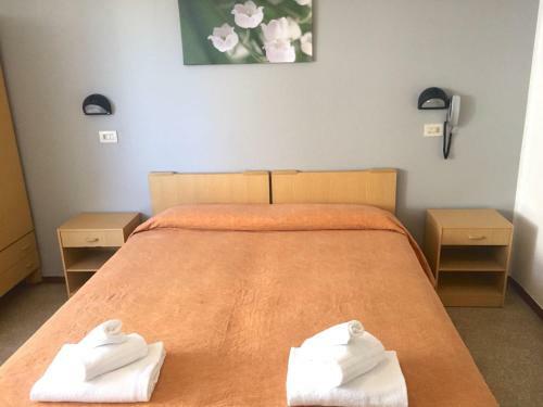 Hotel Ausonia