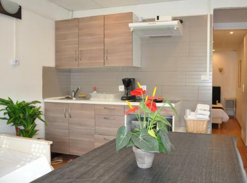 Hotel H�tel Les Mimosas