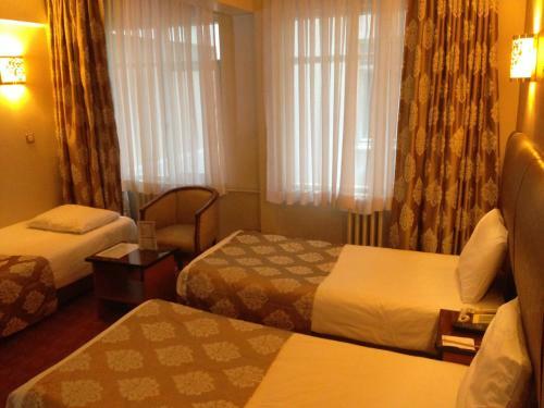 Hotel Arti�