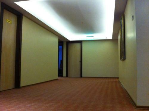 Hotel Arti�