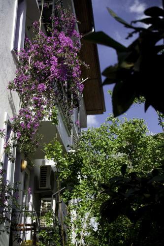 Hotel Hideaway