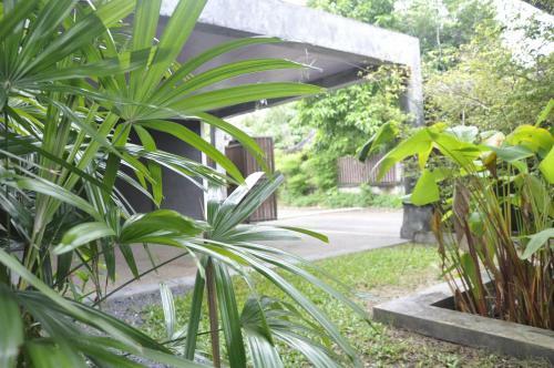 Thalang Pool Villa