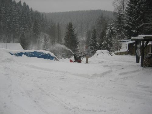 Pleasant Apartment In Wildemann Amid Forest