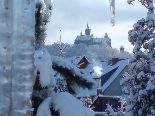 Heritage Apartment Near Ski Area In Wernigerode
