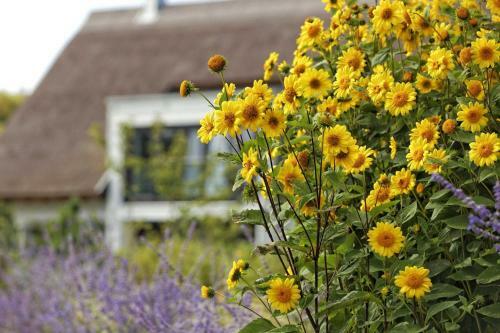 Apartamentos Kapitaensweg 15