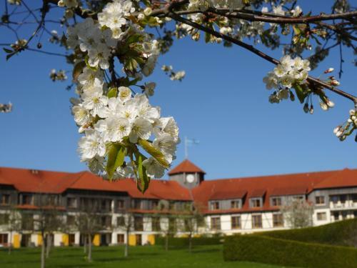 Hotel Robinson Club Fleesensee