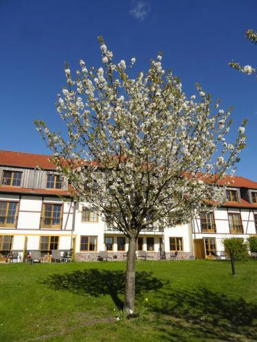 Hotel Robinson Club Fleesensee