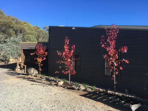 Lodge Altitude 1260