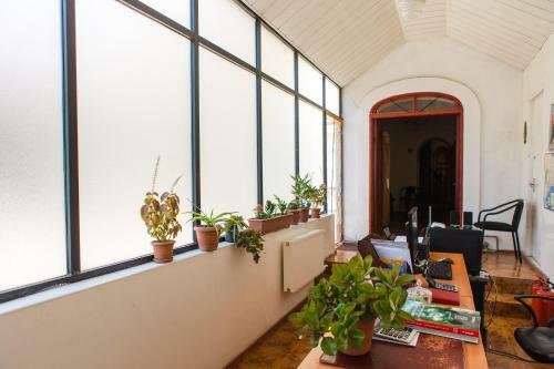 White City Hostel