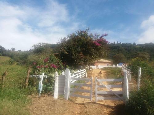 Casa Em S�o Tom� Das Letras