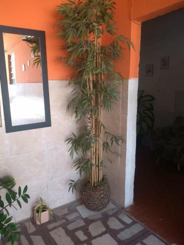 Hostal Pousada Vitoria