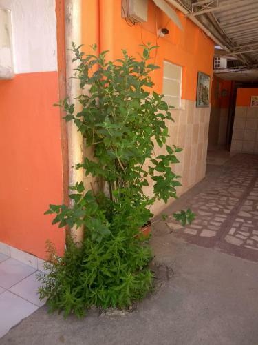 Hostal Pousada Vitoria