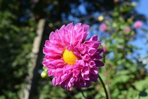 Hostal Pousada Saint Gottard