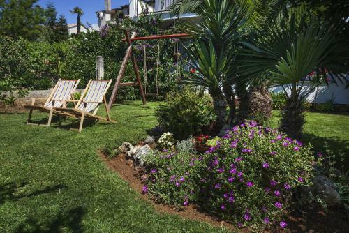 Apartments Antonieta