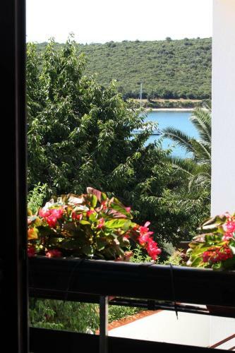 Apartments Antonieta