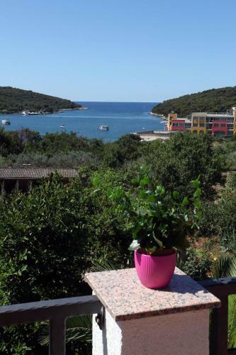Apartments Antonieta