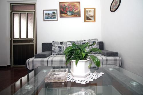 Apartment Andelka