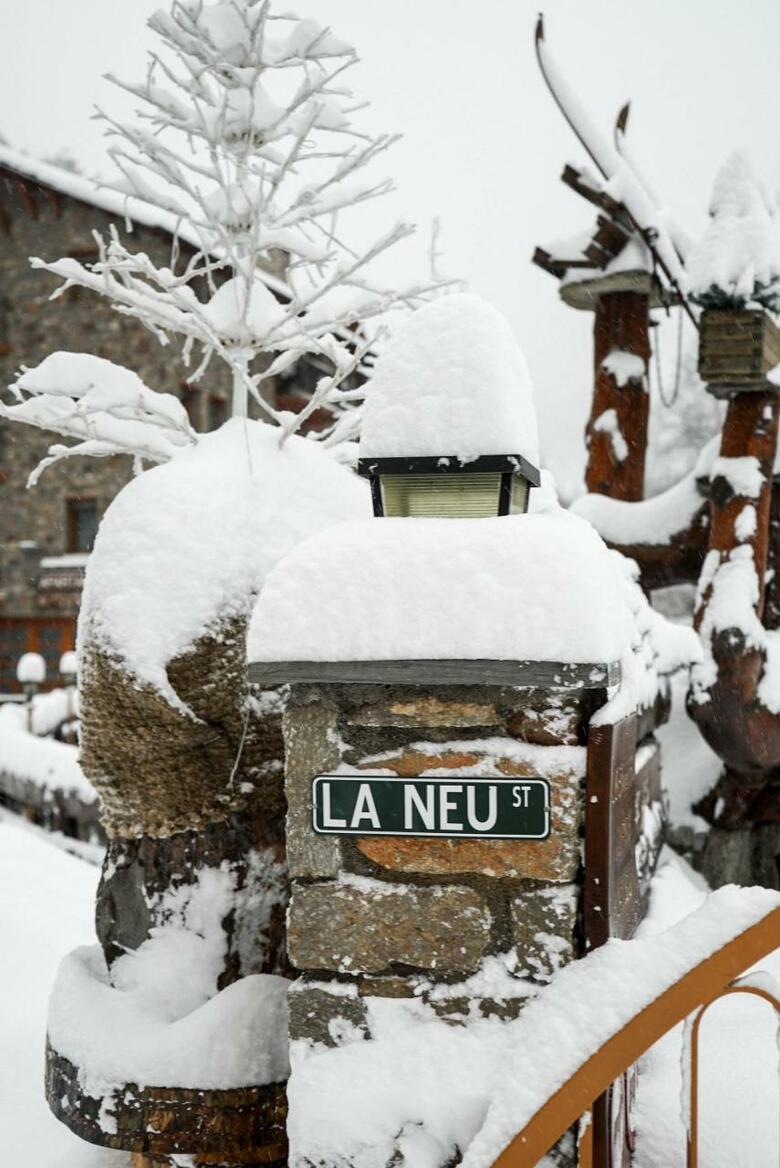 Apartaments La Neu