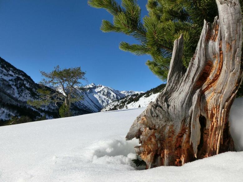 Apartaments La Neu